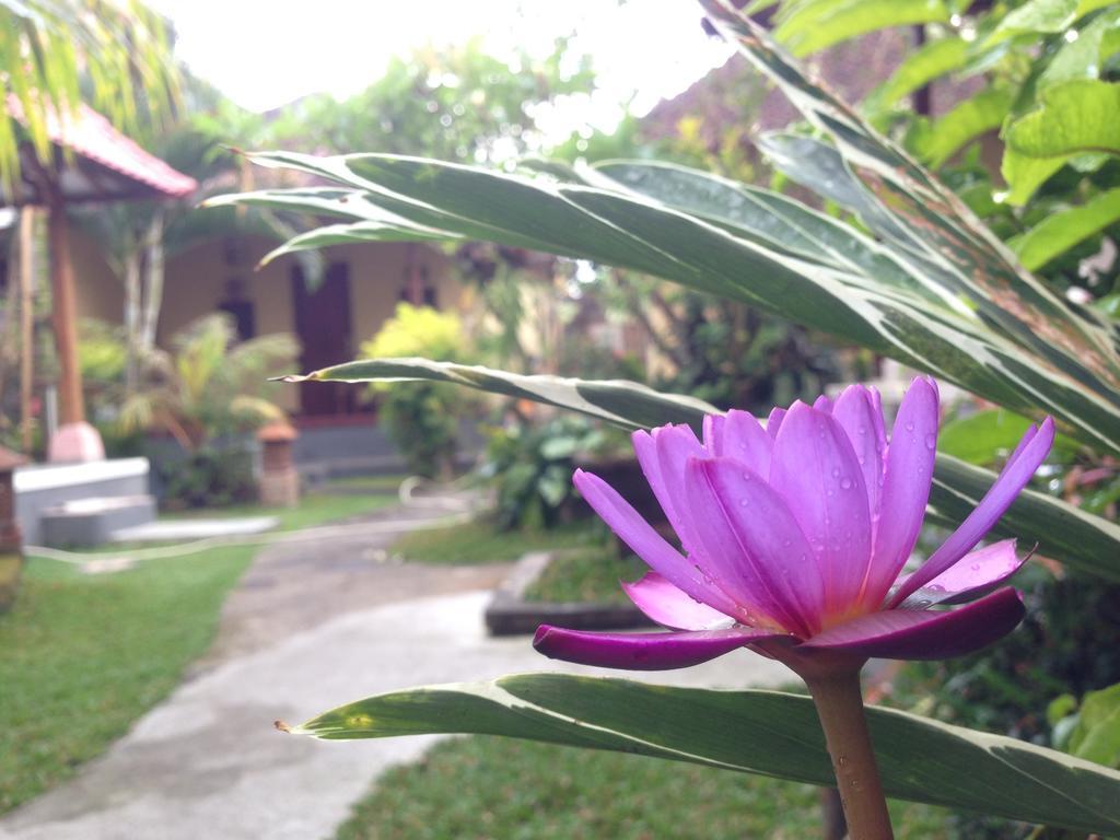 Dimuwa Ubud Quarto foto